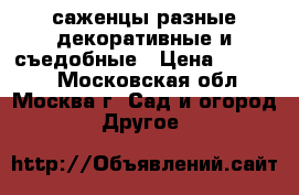 саженцы разные декоративные и съедобные › Цена ­ 50-300 - Московская обл., Москва г. Сад и огород » Другое   